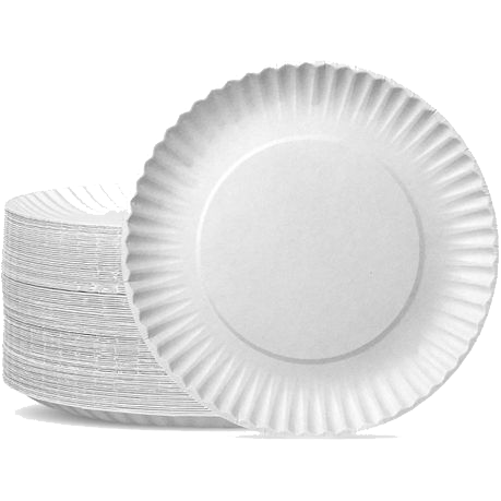 Twinsaver Paper Plates 20x50